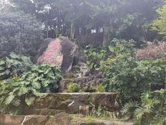 -乌山风景区