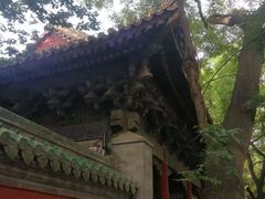 -北京国子监胡同