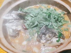 -九道菜有鸡鱼头(石鼓路店)
