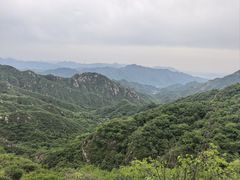 -大岭沟猕猴桃谷风景区