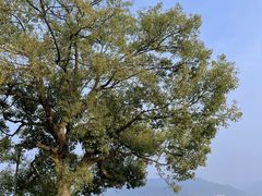 -东钱湖旅游度假区