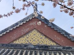 -桃花堤公园