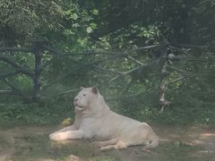 -西宁福茵长乐国际大酒店