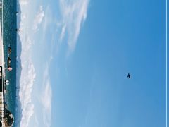-玫瑰海岸文化旅游度假区