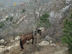 -天津盘山风景名胜区