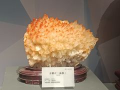 -湖南省地质博物馆