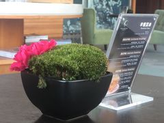 -深圳湾木棉花酒店