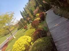-棒棰岛宾馆景区