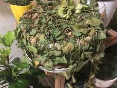 -烟台南站