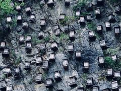 -神农架景区