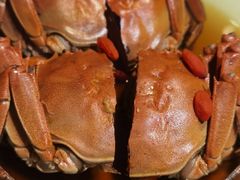 -蟹榭(静安寺晶品商场店)