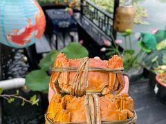 -水岸居湖景农家乐·阳澄湖大闸蟹