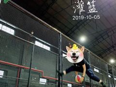 -嘿哟动霸CHUA·新潮玩运动娱乐中心·蹦床滑冰团建乐园
