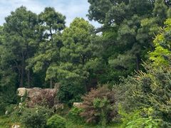 -宝岩生态观光园