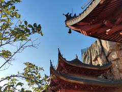 -上海东林寺(金山区)