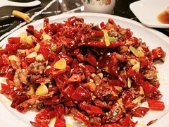 -巴依老爷新疆美食(清华东门店)