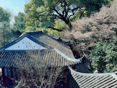 -楼外楼(西湖景区孤山路店)