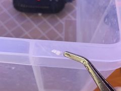 -爱哆宠物医院·骨科·外科·猫科