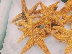 -雄楚国际大酒店-四季西餐厅