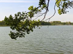 -东湖落雁景区