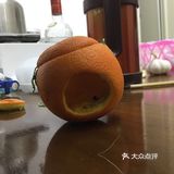 橙子灯笼DIY