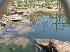 -鄂尔多斯野生动物园