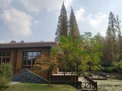 -东平国家森林公园