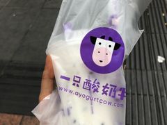 -一只酸奶牛(八一路店)