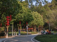 -广东花都湖国家湿地公园
