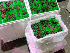 -菜园坝水果市场