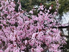 -山东师范大学(千佛山校区)