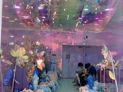 -巴黎春天(浦建店)