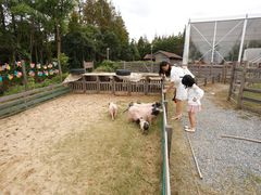 -前小桔亲子创意农场·草莓采摘·露营烧烤