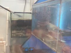 -鱼酷活鱼烤鱼(沈阳大悦城店)