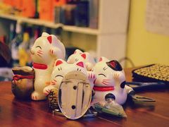 -猫色咖啡·猫咖