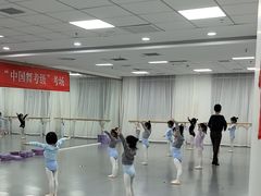 -西安小天鹅艺术团(金花路校区)