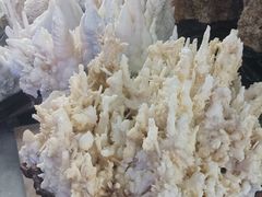 -游龙石文化科普馆