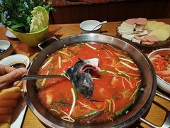 -新凯里酸汤鱼(飞山街店)