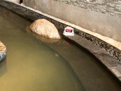 -溧阳天目湖天沐温泉