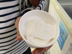 -洪馨椰子