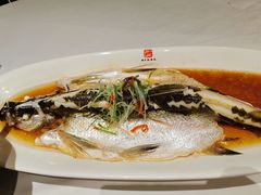 清蒸白水鱼-道道鲜·崇明私房菜(五角场店)
