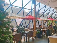 露天位-巴别塔法餐舍(朝阳店)