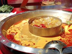 -谭鸭血老火锅(万象九宜城店)