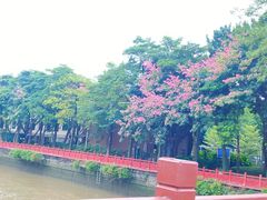 -海心沙亚运公园