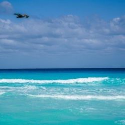 -薇兰专业脱毛连锁机构