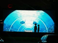 -枫花园汽车电影院(朝阳公园店)