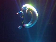 -芜湖新华联大白鲸海洋公园