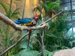 -杭州开元森泊度假乐园