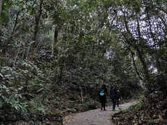 -广东温泉宾馆