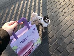-好利来(北新桥店)